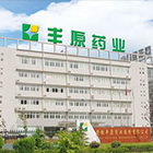 2010年  豐原生物化學(xué)股份有限公司